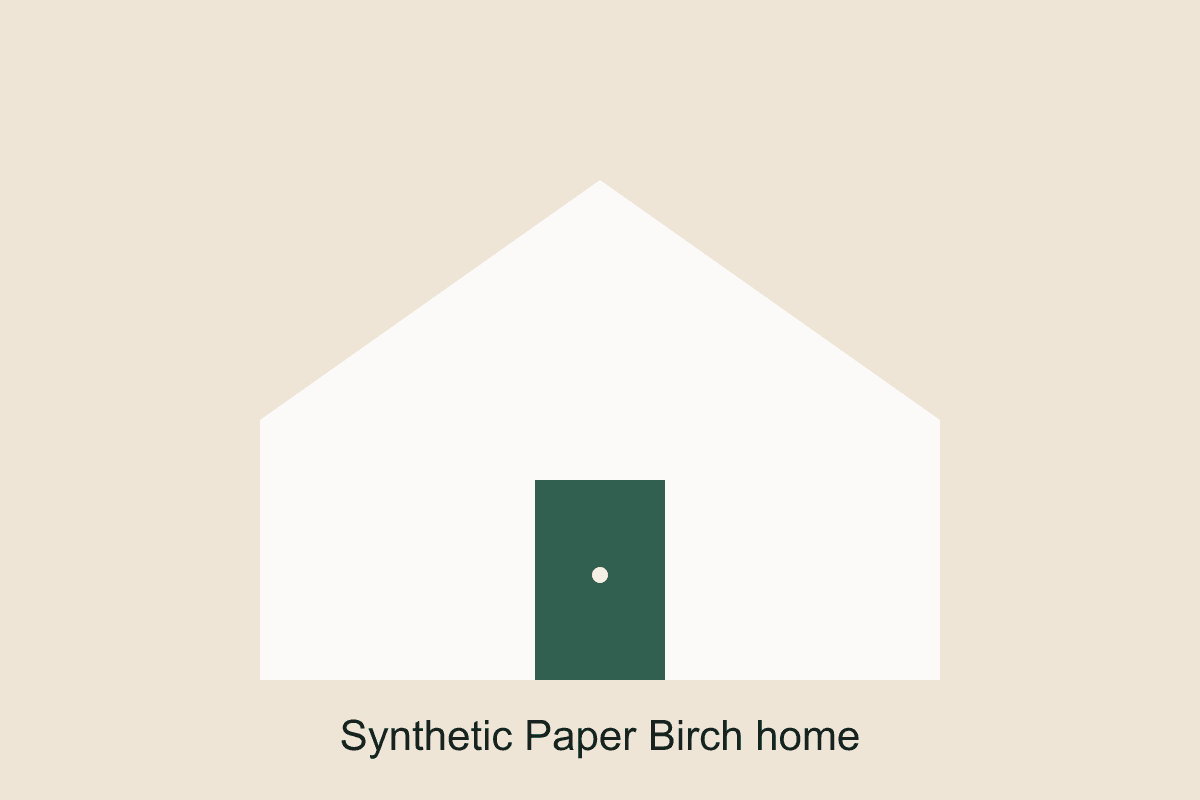 Synthetic UAT placeholder at Paper Birch House